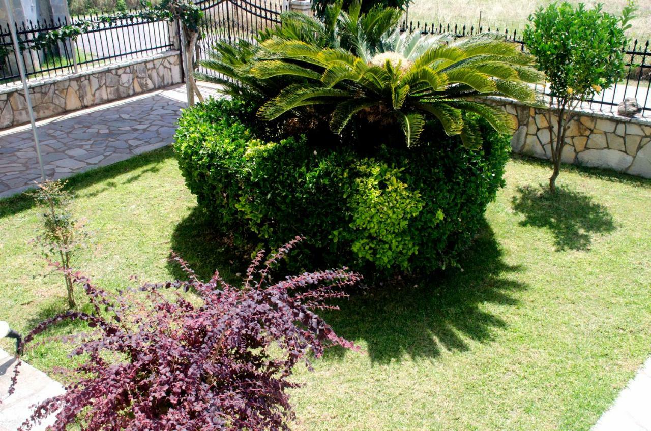 Amalias Place Mytikas  Exterior photo